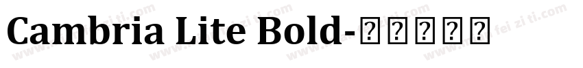 Cambria Lite Bold字体转换
